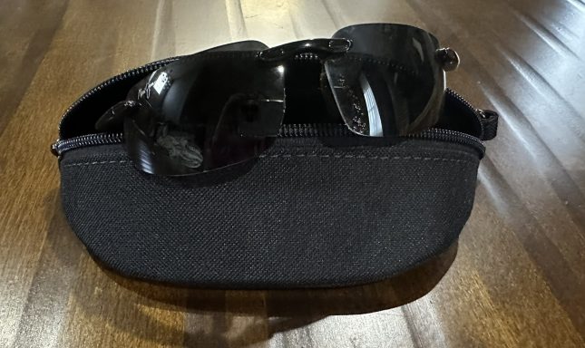 Ellie Sunglass Case